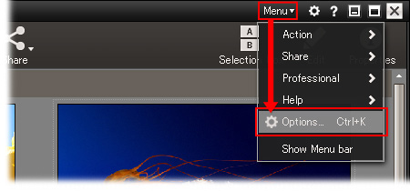 In Menu, click Options.