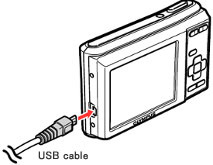 Insert the other end of the USB cable into the camera.