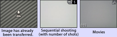 Image has already been transferred.Sequential shooting(with number of shots).Movies