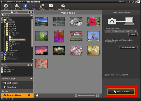 When you click Import all images, the pictures and movies will be transferred to your computer.