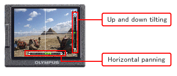 Press the [INFO] button on the camera repeatedly to display the Level Gauge.
The ruled line (for horizontal and vertical movement) is displayed on the LCD monitor.
