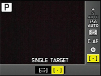 SINGLE TARGET