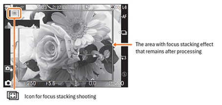 focus stacking