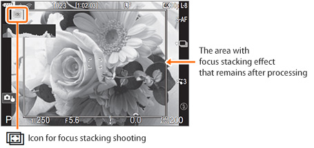focus stacking