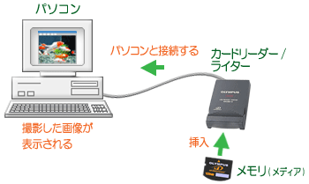 カードリーダー/ライターを使ってパソコンで画像を表示