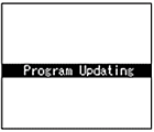 Program Updating