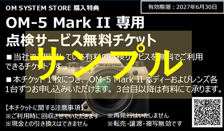 点検サービス無料チケット